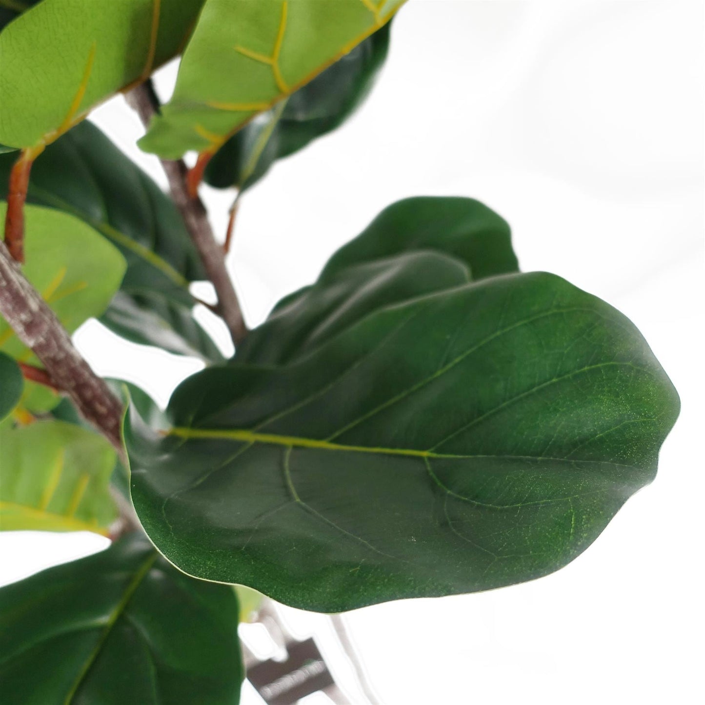 Premium artificial fig tree botanically accurate foliage UK 180cm tall