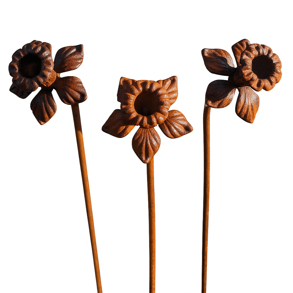 Rusted daffodil garden stake with blank background, whimsical metal flower sculpture for heritage outdoor styling.