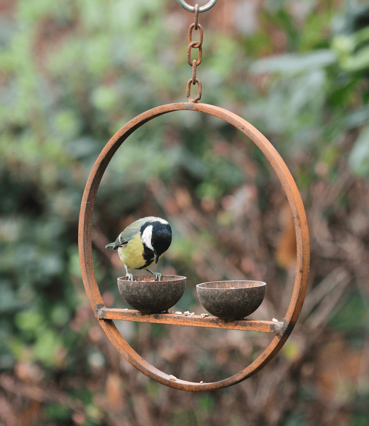 Rusted Hanging Bird Feeder Ring – Double Cup | Timeless Garden Charm - The Timeless Trading Co.