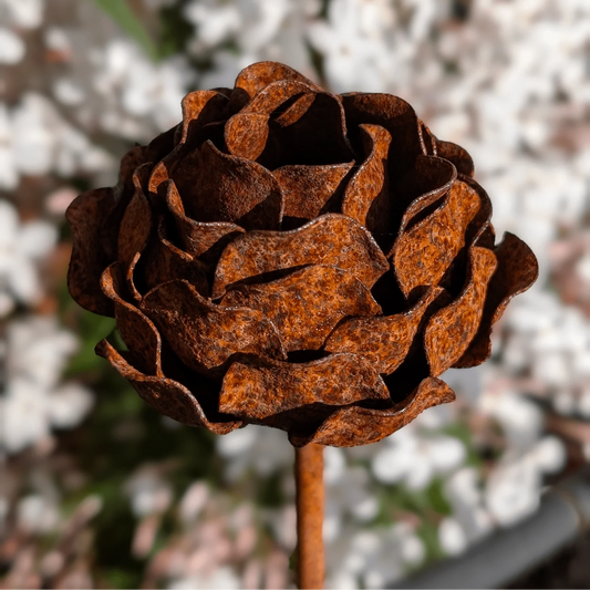 Rusted steel peony garden stake 100cm close-up textured petals cottage garden sculpture UK