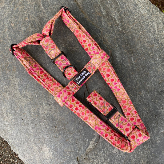 The Tulip Meadow Ramble – Collars, Leads & Harnesses for Whimsical Walks - The Timeless Trading Co.