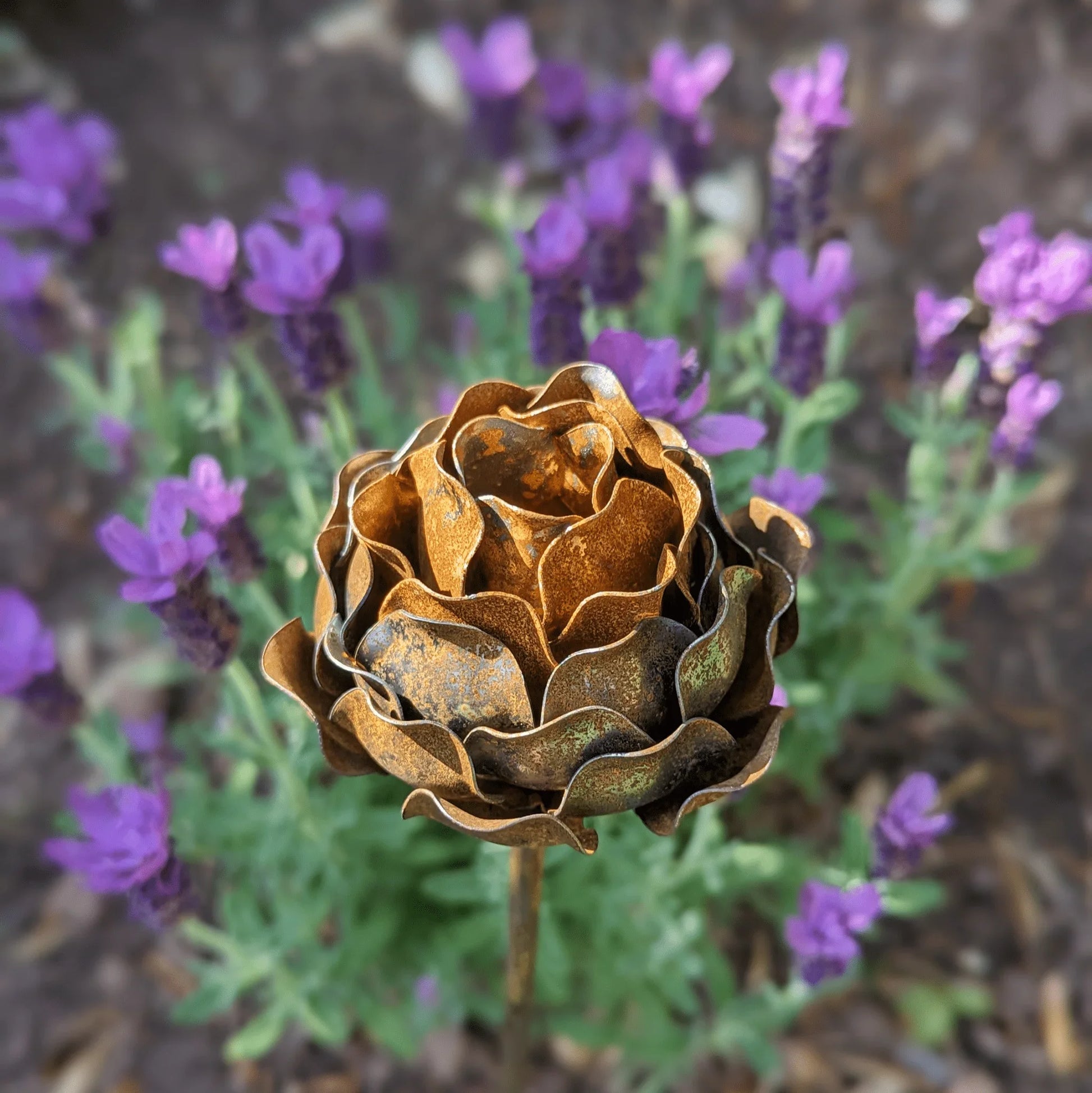 rusted-peony-garden-stake-lavender-border-cottage-garden-uk