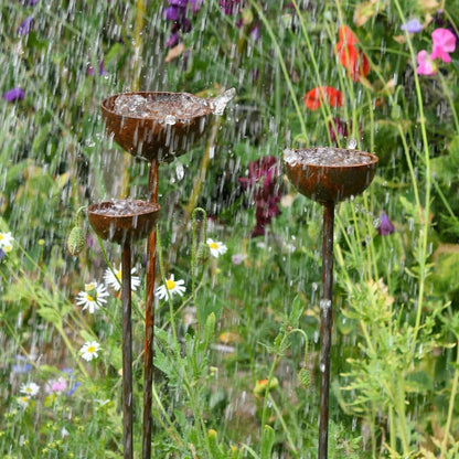 Rusty rain catcher sculptural garden stakes trio cottage garden display British countryside UK