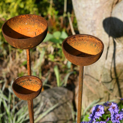Rusty rain catcher artisan birdbath stakes cottage garden farmhouse border British countryside UK