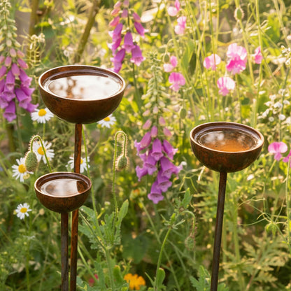 Rusty rain catcher trio garden stakes sculptural birdbath plant supports countryside UK