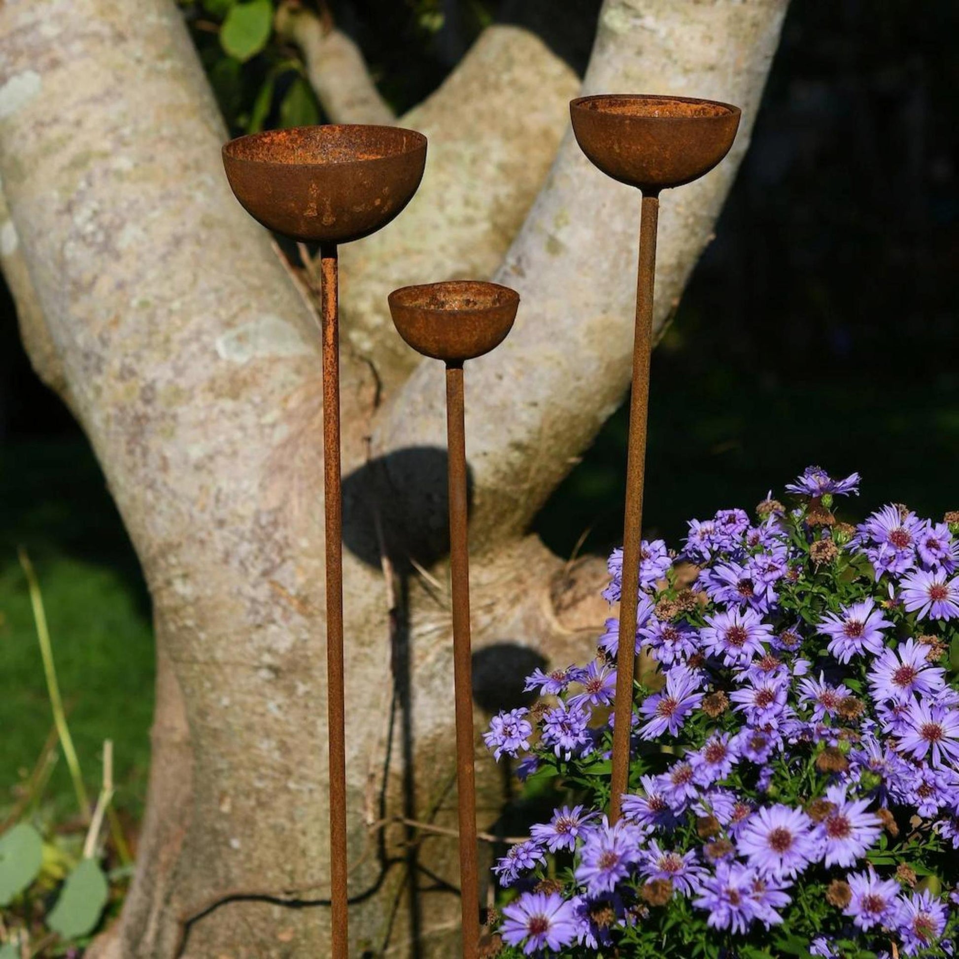 Rusty rain catcher sculptural birdbath stakes wildflower border cottage garden countryside UK