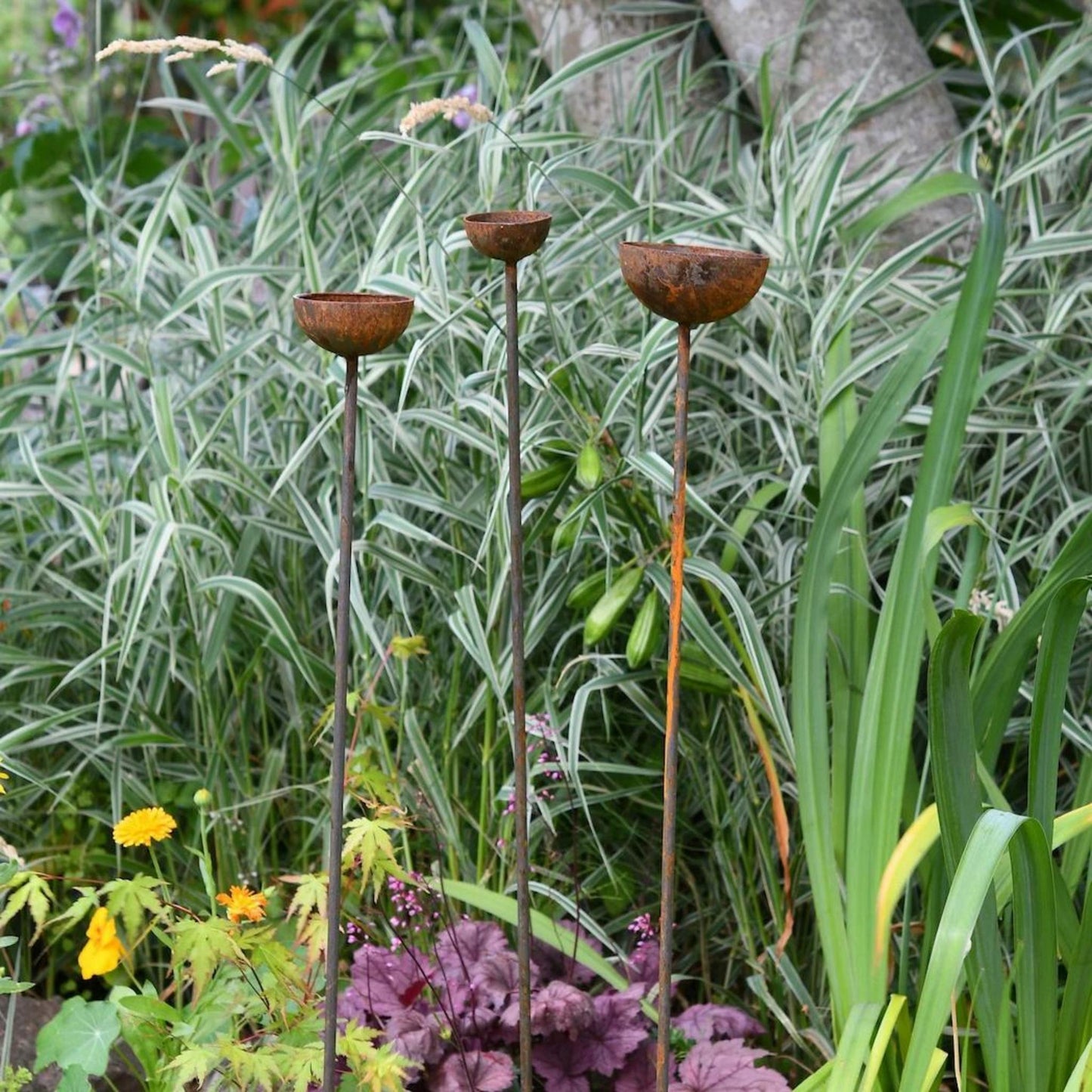Rusty rain catcher birdbath stakes garden sculpture trio farmhouse cottage garden border UK