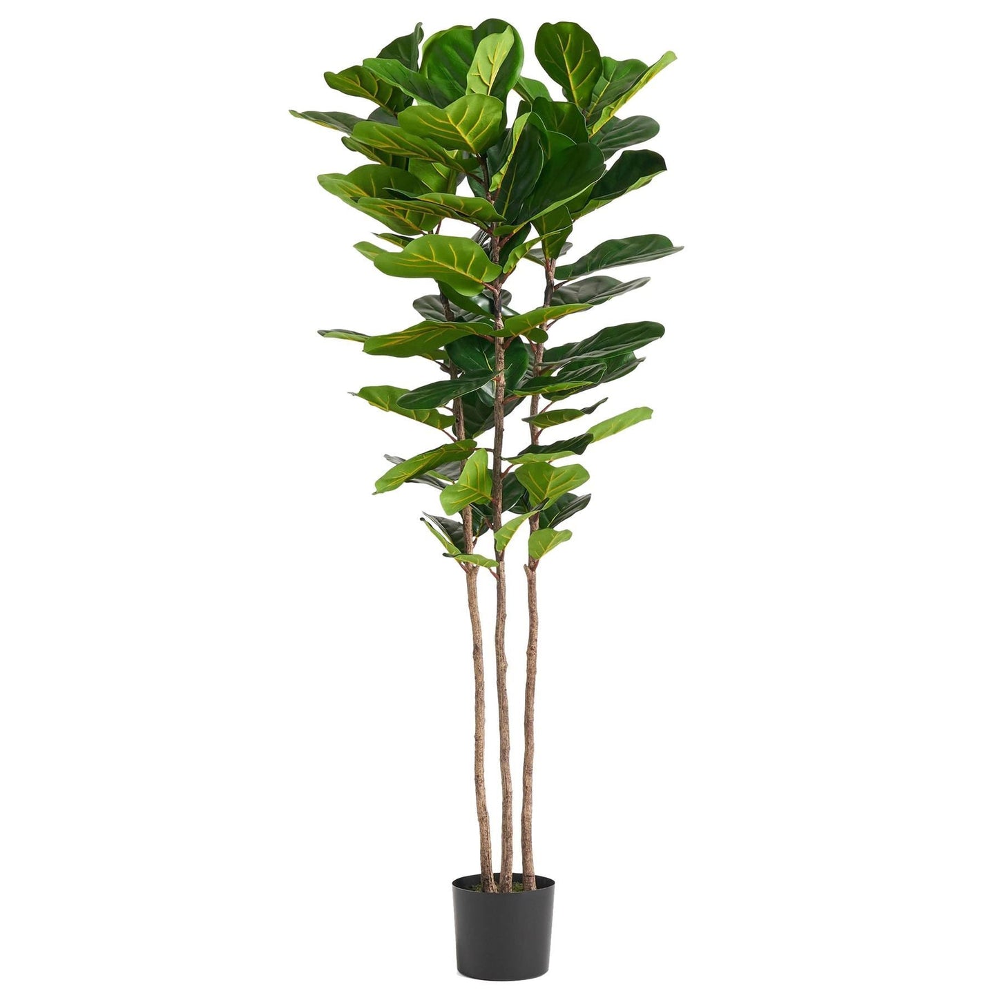 Premium 180cm artificial fiddle leaf fig tree weighted pot UK botanical