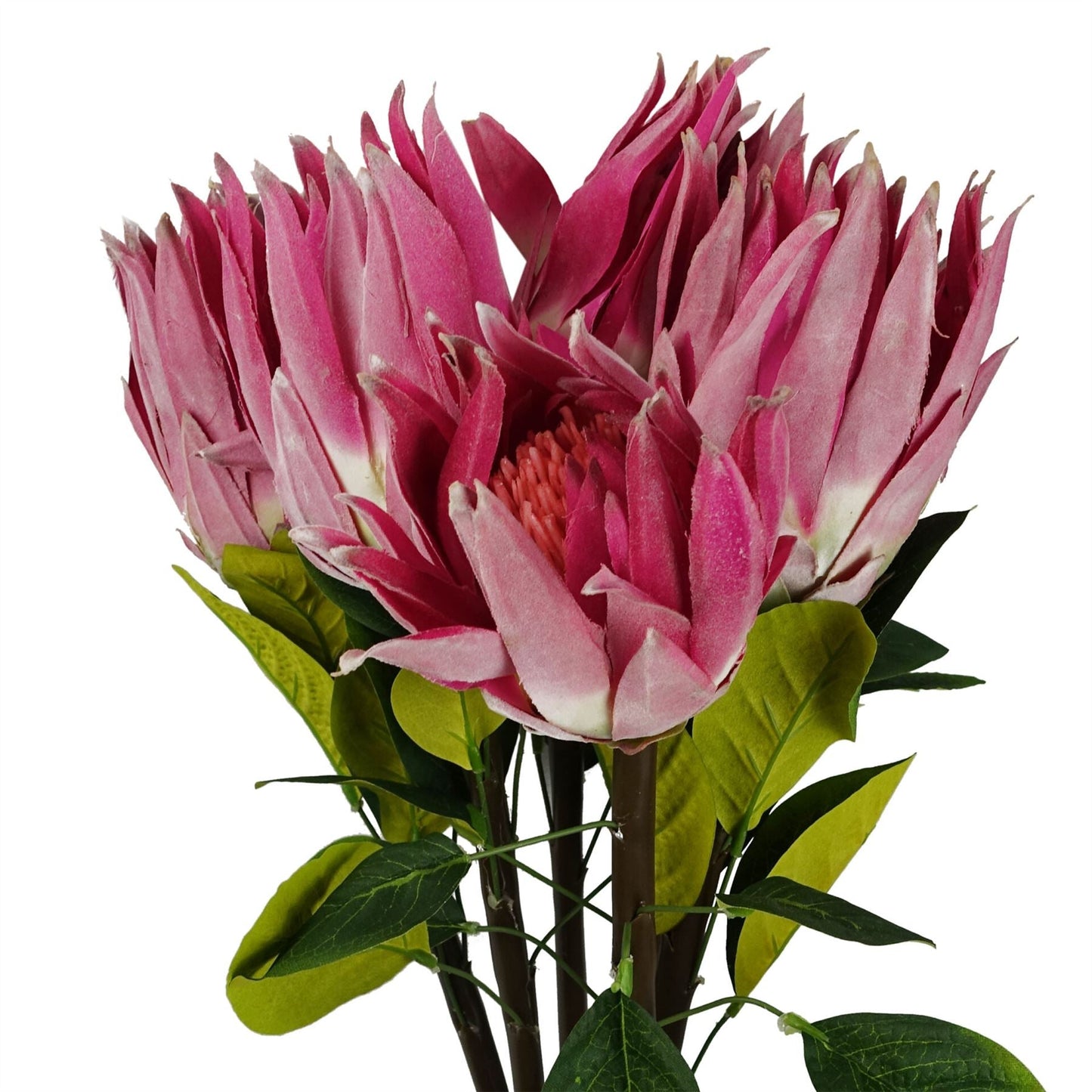 Artificial pink protea stems 65cm silk flowers UK set of 6 wired