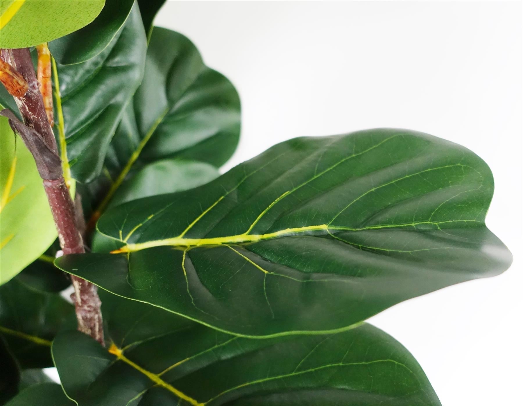 Realistic artificial fiddle leaf fig tree botanically accurate UK 180cm