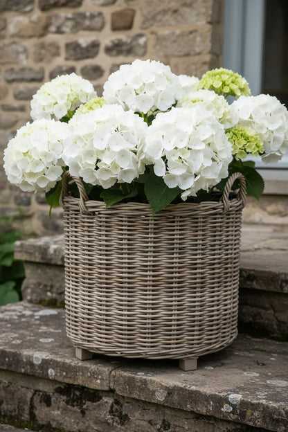 Close-up grey Kubu rattan weave texture white hydrangeas heritage stone UK craftsmanship