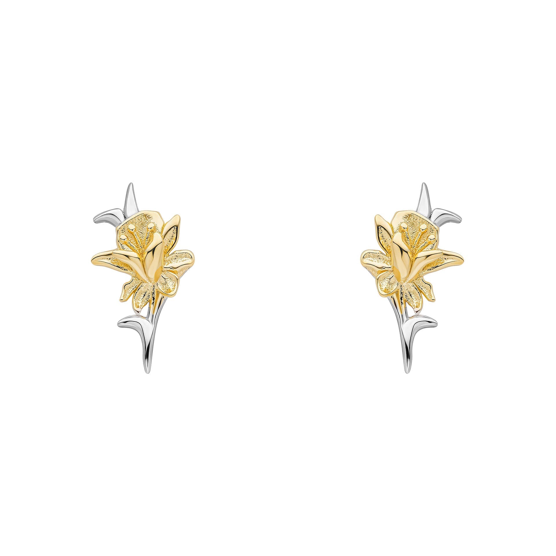 Laura Ashley Heritage Daffodil earrings sterling silver yellow gold plated UK
