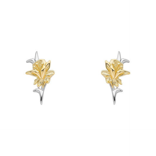 Laura Ashley Heritage Daffodil earrings sterling silver yellow gold plated UK
