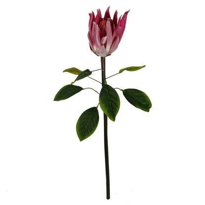 Pink protea stems set of 6 artificial 65cm UK botanical silk flowers