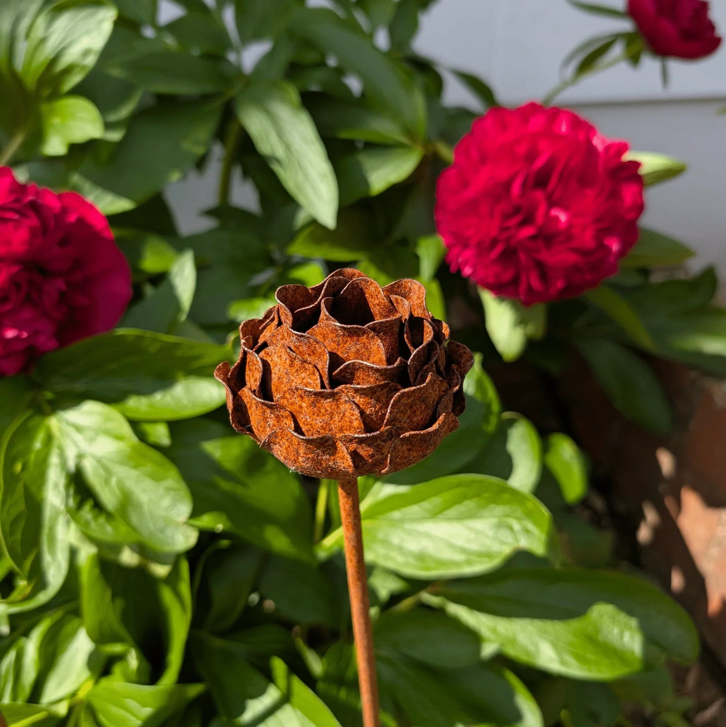 Rusted peony garden stake sculpture sunlight red flowers green leaves cottage garden UK