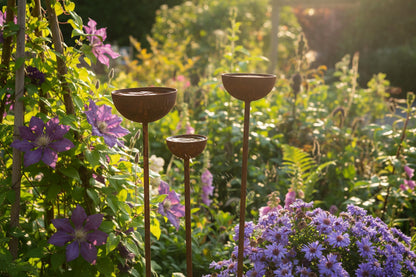 Rusty rain catcher birdbath stakes with water pooling cottage garden British countryside UK 